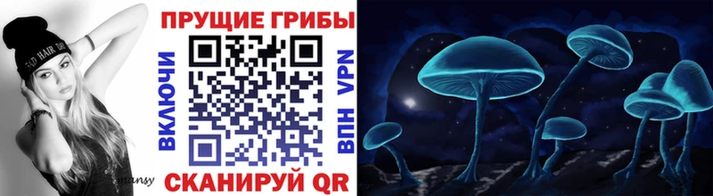 KRAKEN   Ахтырский  Галлюциногенные грибы мицелий 